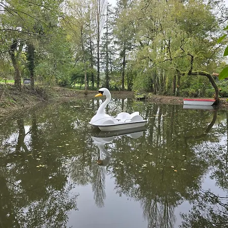 펜션 6/8 Personnes Confort Saint-Martin-des-Besaces